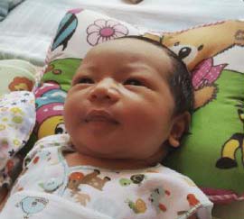 hukum menggabungkan aqiqah dengan qurban