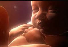 tips agar ibu sehat dan janin sehat
