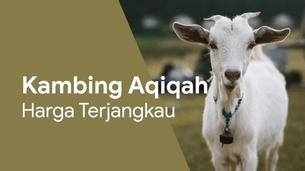 Rekomendasi Jasa Aqiqah Yogyakarta Terpercaya